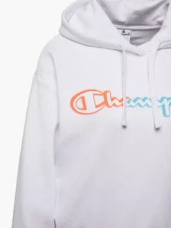 Champion Hoodie -Sportbekleidungsgeschäft 2180799 H4